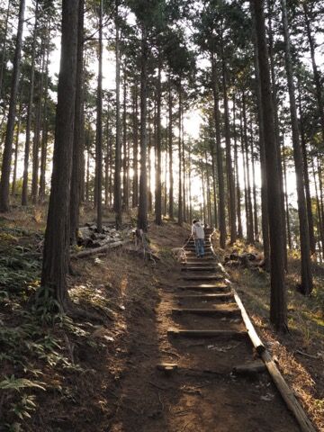 05CD1138-7131-4452-8F11-13C00767F216