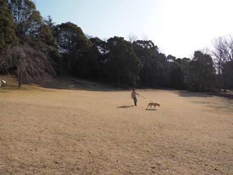 7EED7E3E-6F24-4395-8456-806DE127B271