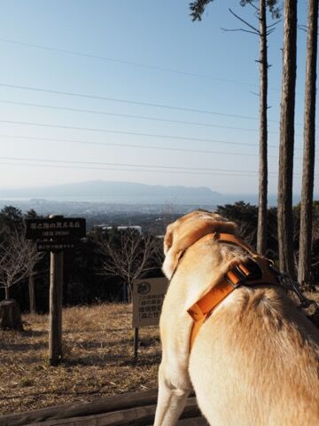 7CEE581C-3DF5-4DFC-952E-0807F97AF019