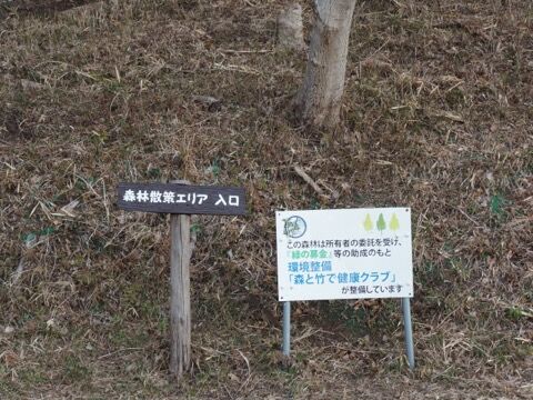 723960CA-77F4-4C32-9F43-7DA36947DFEE