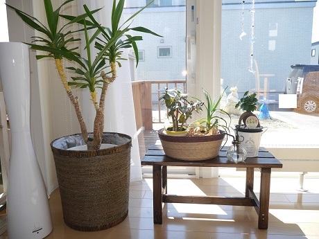 P1010290.JPG