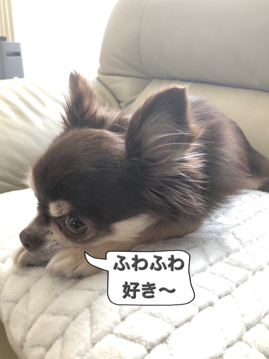 thumbnail_IMG_6638