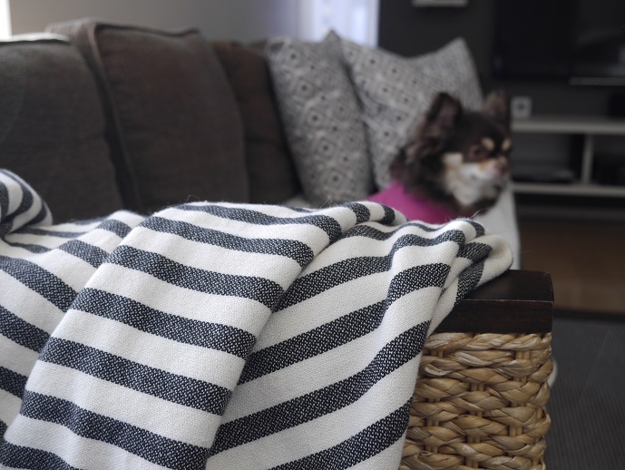 _1090234.JPG