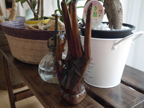 P1010345.JPG