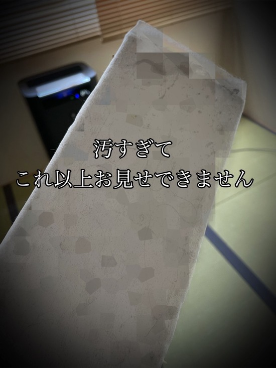 thumbnail_IMG_2920