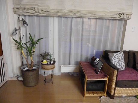P1000516.JPG