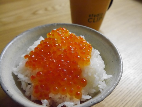 P1000517.JPG