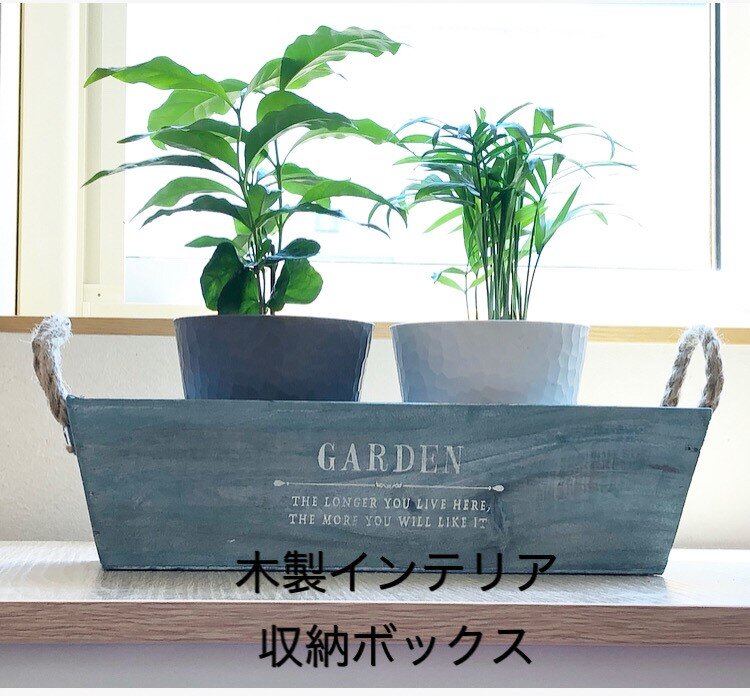 ダイソー インテリアになる３００円の観葉植物 ちいさなおうち Powered By ライブドアブログ