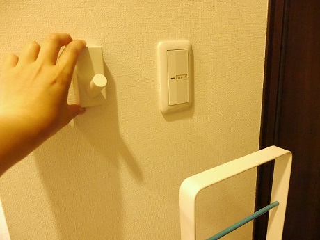 _1030531.JPG
