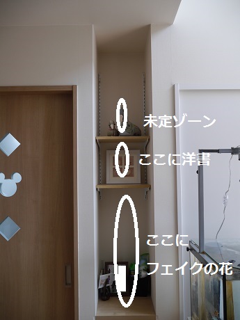 02a13f6a421611ddb2fe0017c912934d93e33e91_45_2_9_2.jpg