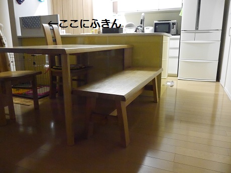 P1000515.JPG