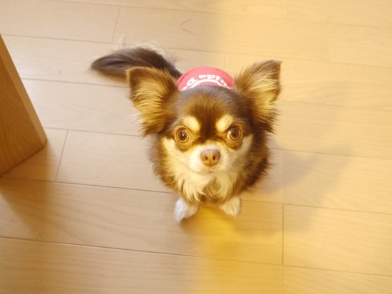 thumb__1150192_1024