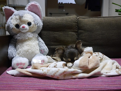 P1010814.JPG