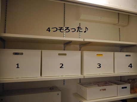 P1010392.JPG