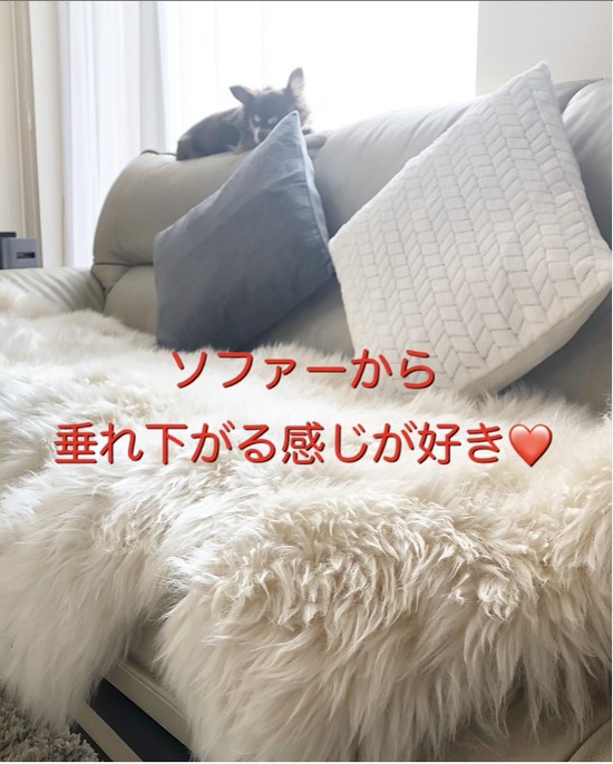 thumbnail_IMG_6670
