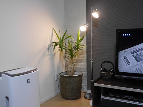 P1010171.JPG