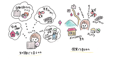 iju_point3