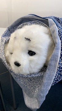 338447049_1256130118316567_2894790711071735484_n