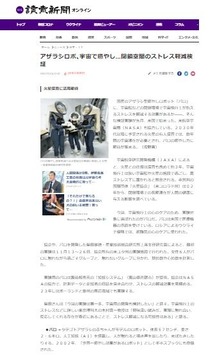 読売新聞12月24日夕刊