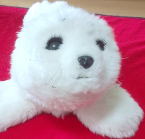 274663665_2274212522727148_9001991754213650968_n