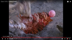 274686672_2274203359394731_9157868669050035259_n