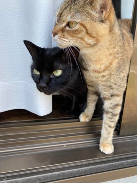 334939147_200107962699928_1389431653494472574_n