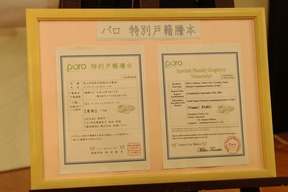 パロの戸籍