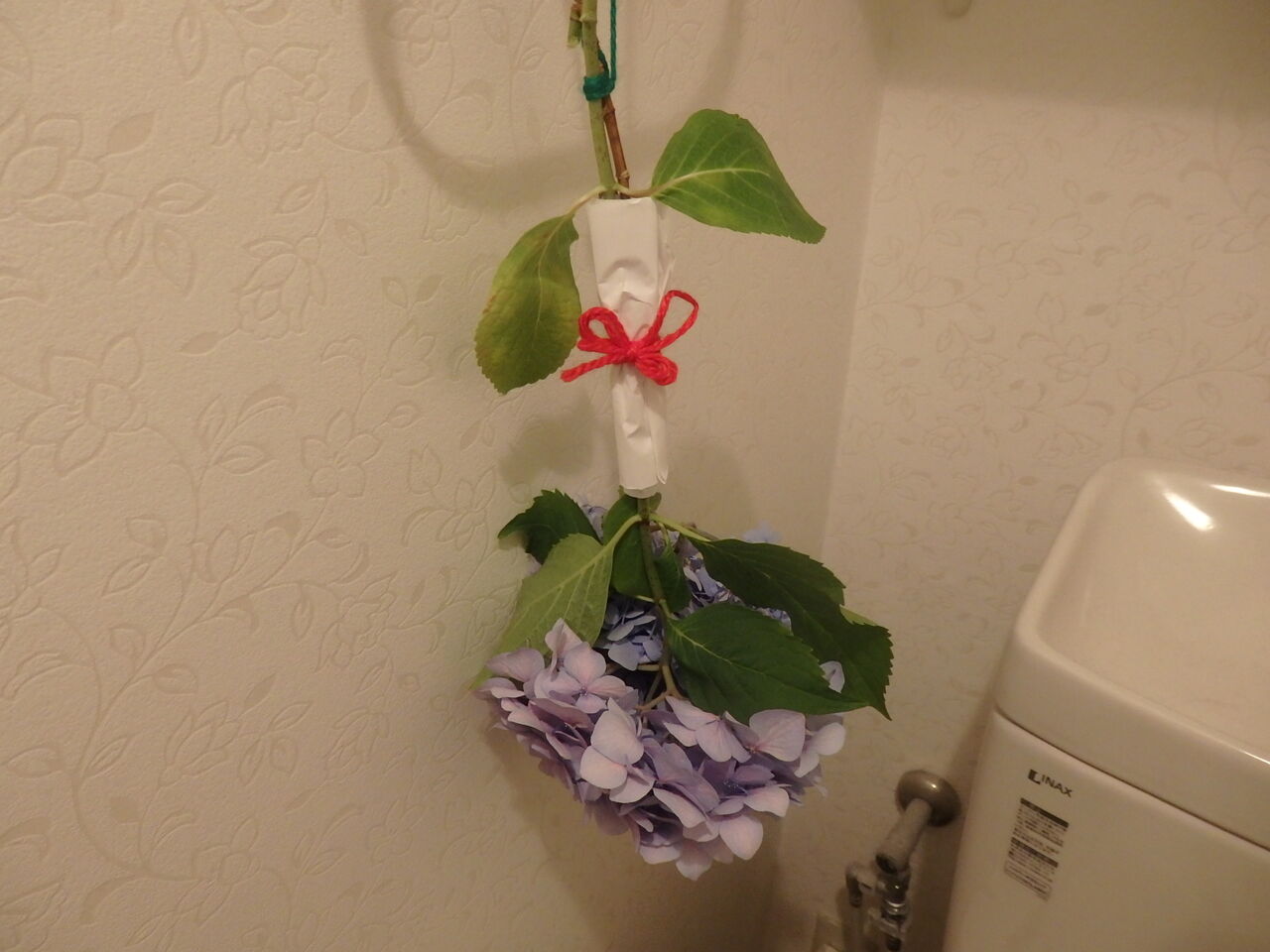 紫陽花の6月のおまじない 恵美子さんのひとり言 紫陽花の6月のおまじない 恵美子さんのひとり言