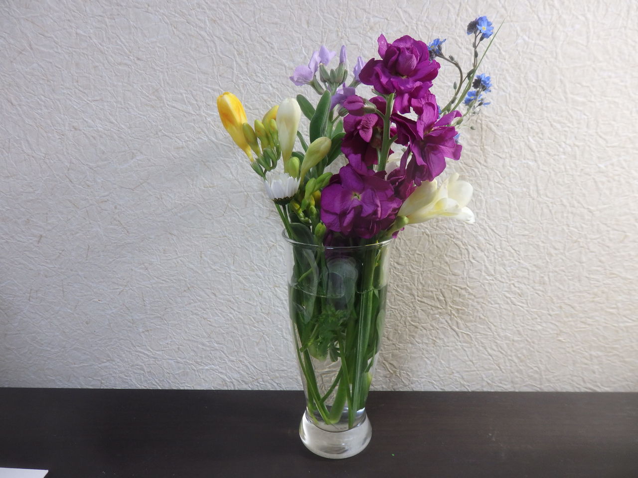 絵手紙教室 4月 恵美子さんのひとり言