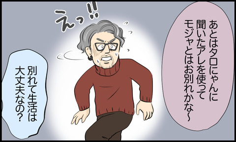 タロ 152