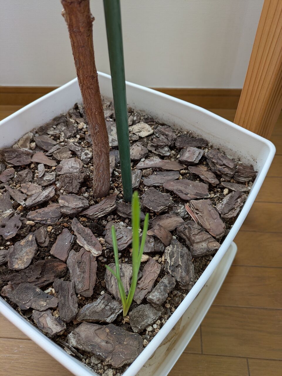 PXL_20250923_221325939