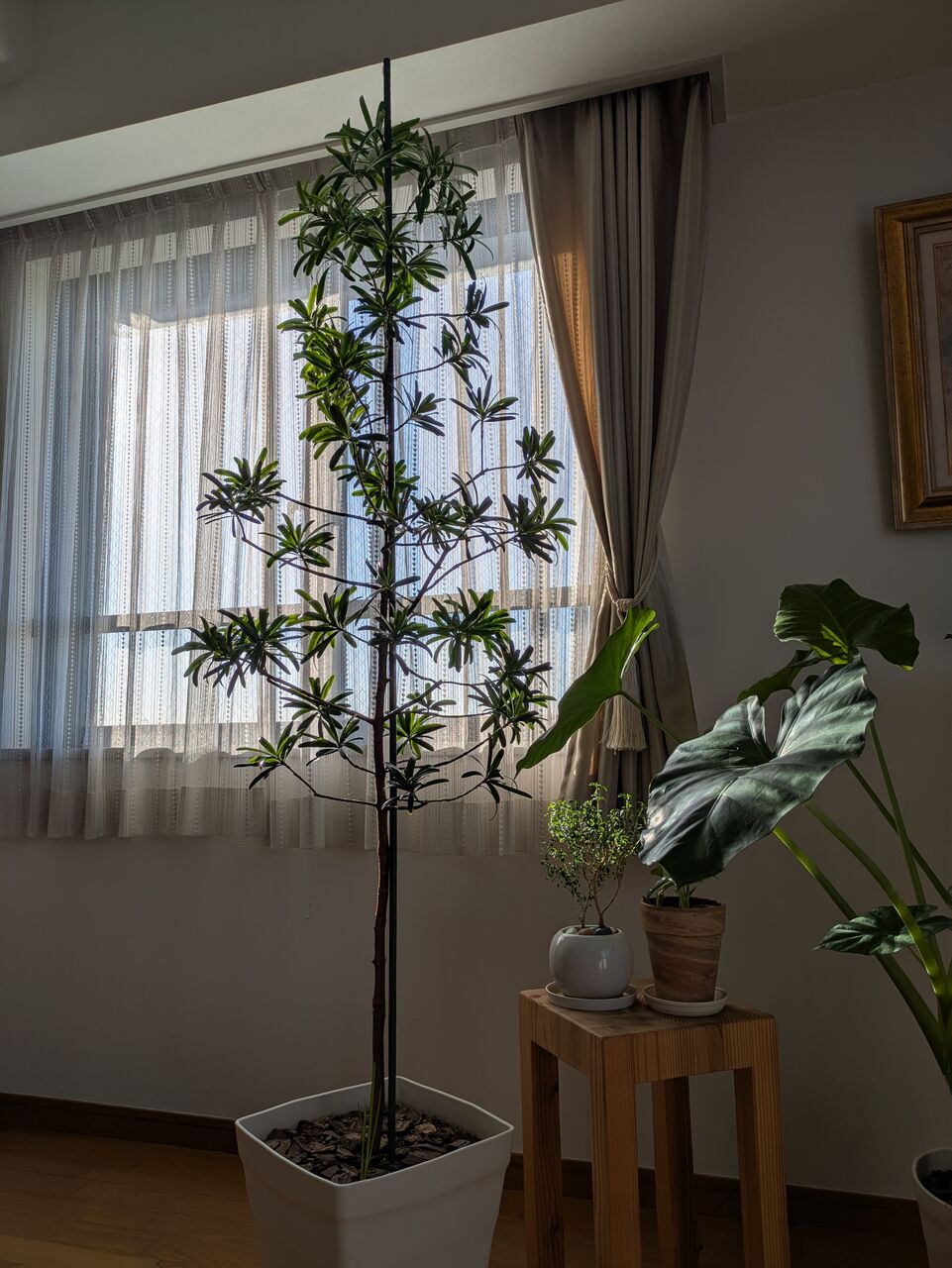 PXL_20250923_221234805