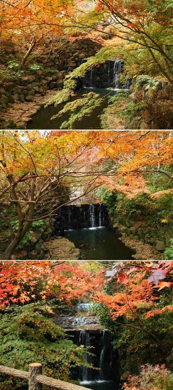 https://livedoor.blogimg.jp/emineee/imgs/8/4/848a7430.jpg