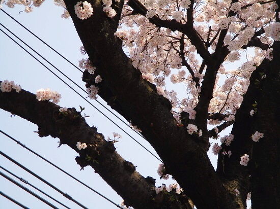 https://livedoor.blogimg.jp/emineee/imgs/b/9/b93dd9a9.jpg