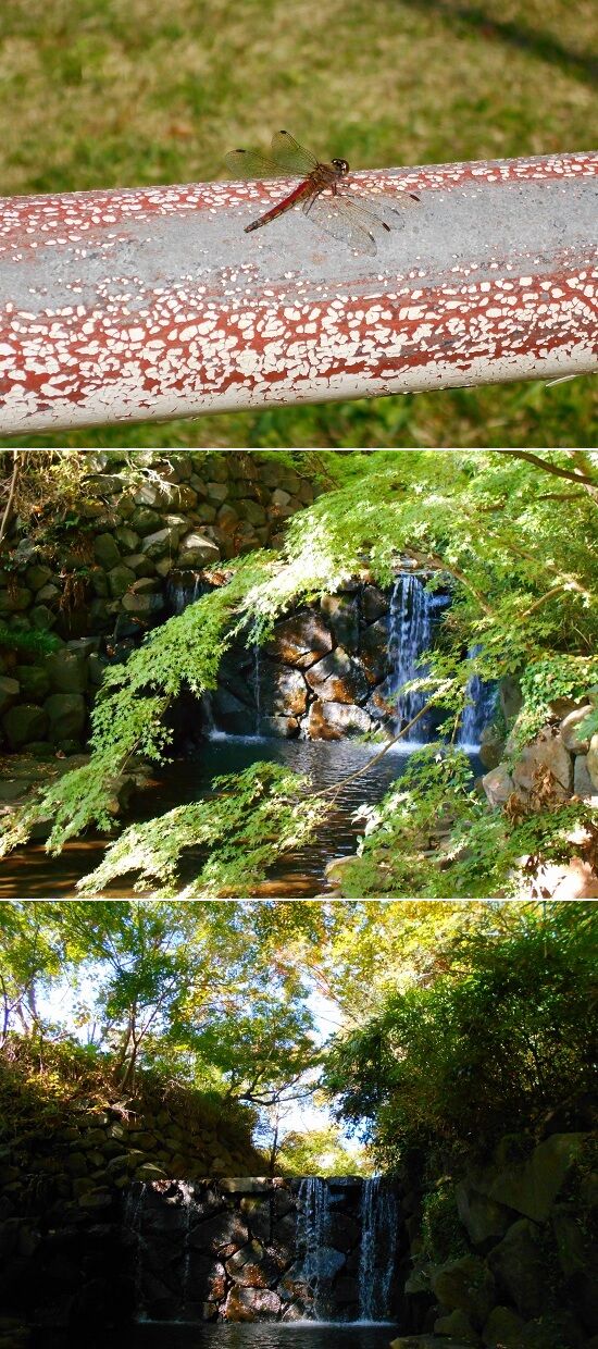 https://livedoor.blogimg.jp/emineee/imgs/c/6/c6ac1810.jpg