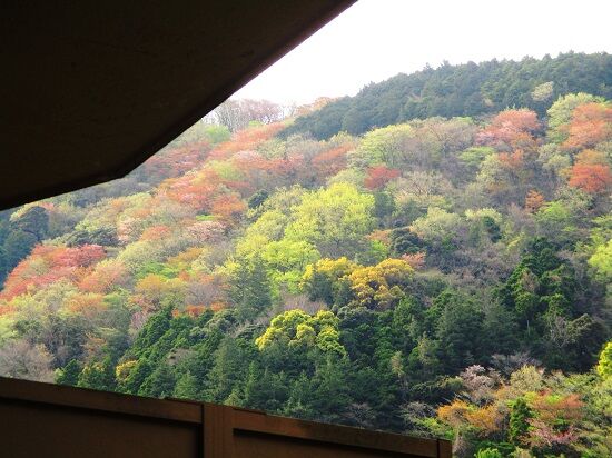 https://livedoor.blogimg.jp/emineee/imgs/4/f/4fd9f509.jpg