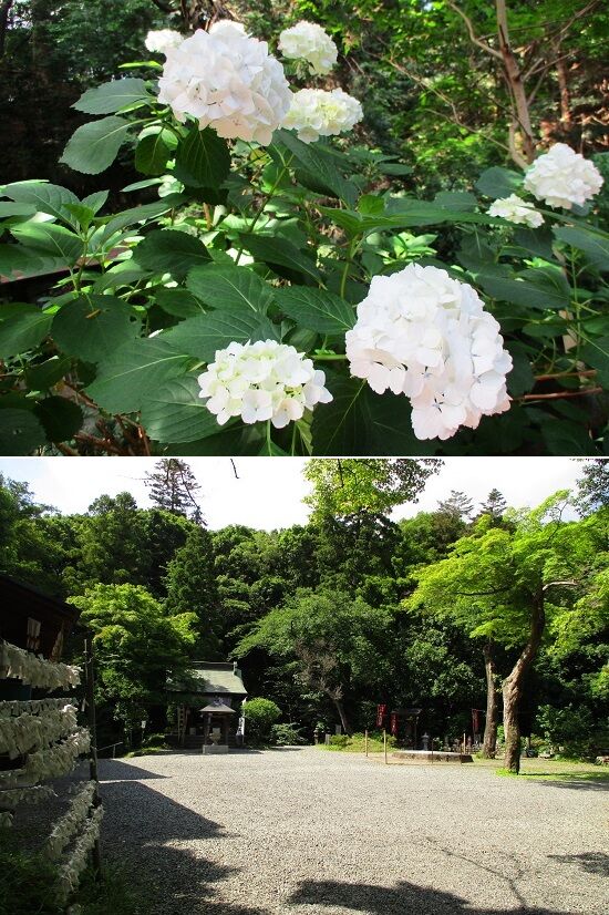 https://livedoor.blogimg.jp/emineee/imgs/5/a/5a032dce.jpg