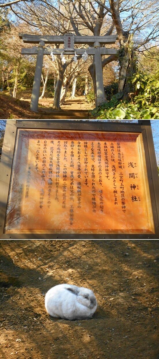 https://livedoor.blogimg.jp/emineee/imgs/9/a/9abceceb.jpg