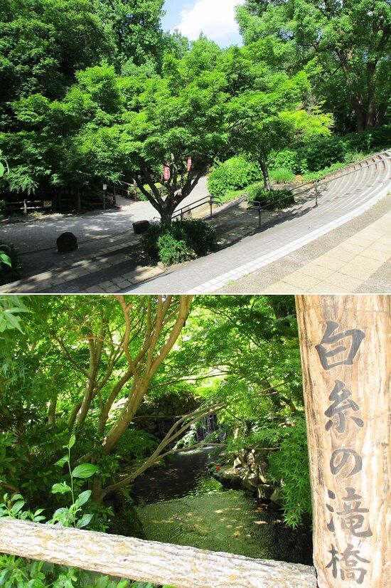 https://livedoor.blogimg.jp/emineee/imgs/7/4/7406fc81.jpg