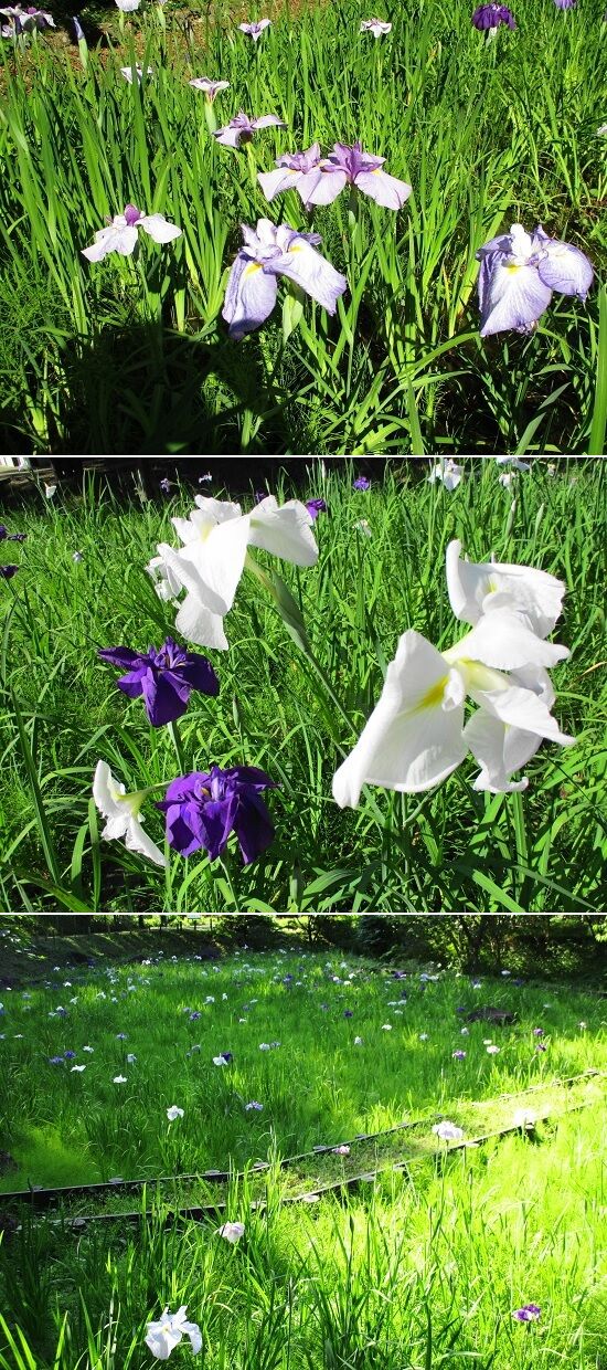 https://livedoor.blogimg.jp/emineee/imgs/f/3/f3a8bf0c.jpg