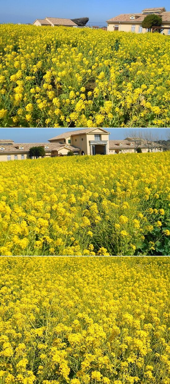 https://livedoor.blogimg.jp/emineee/imgs/4/e/4ebd7334.jpg