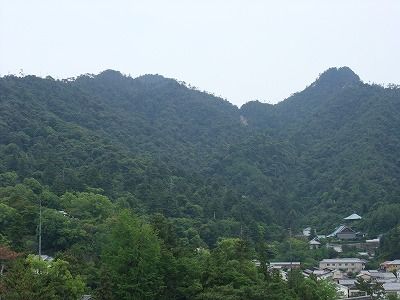 Àé¾ö³Õ¤«¤é˾¤àÌﻳ