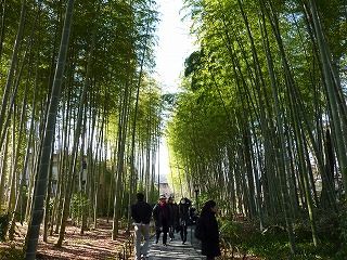 ÃÝÎӤξ®·Â£±