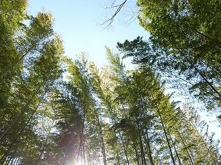 ÃÝÎӤξ®·Â£²