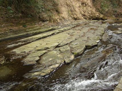 ��ᤰ�ꥳ����