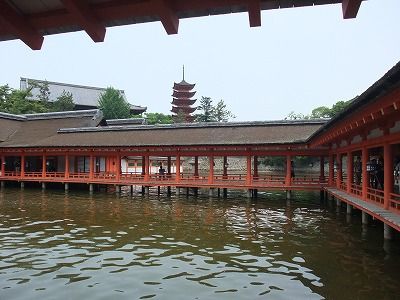 ËþĬ»þ¸·Åç¿À¼Ò