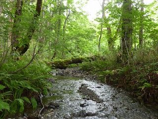 随神門の川