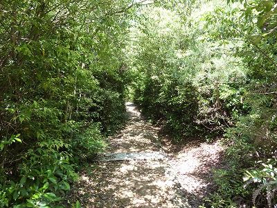 Ìﻳ¤«¤é¤Î²¼»³¿¹¤Î¥È¥ó¥Í¥ë