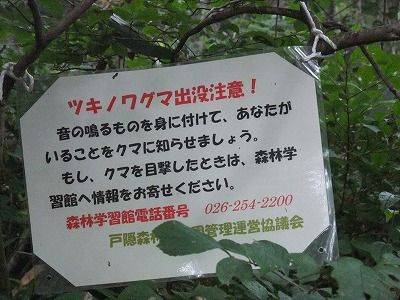 ¥Ä¥¥Î¥ï¥°¥Þ