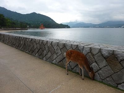 ÂçÄ»µï¤È¼¯